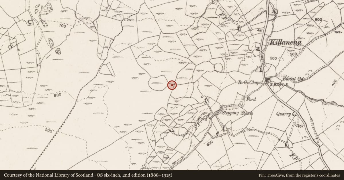 Ordnance Survey six-inch map, 2nd edition (1888–1915) covering the location of Megalithic tomb - wedge tomb, Killanena, County Clare, with a pin at the register's coordinates