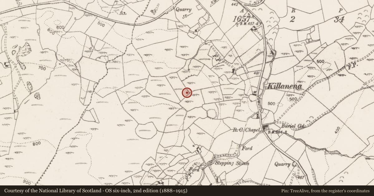 Ordnance Survey six-inch map, 2nd edition (1888–1915) covering the location of Megalithic structure, Killanena, County Clare, with a pin at the register's coordinates