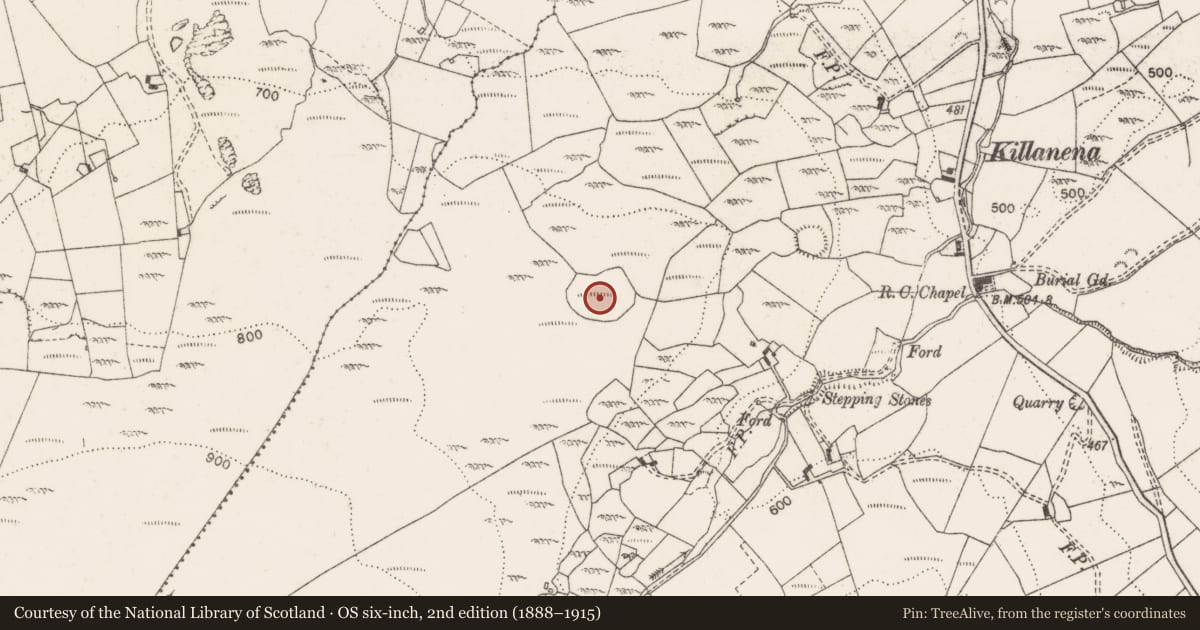 Ordnance Survey six-inch map, 2nd edition (1888–1915) covering the location of Hilltop enclosure, Killanena, County Clare, with a pin at the register's coordinates