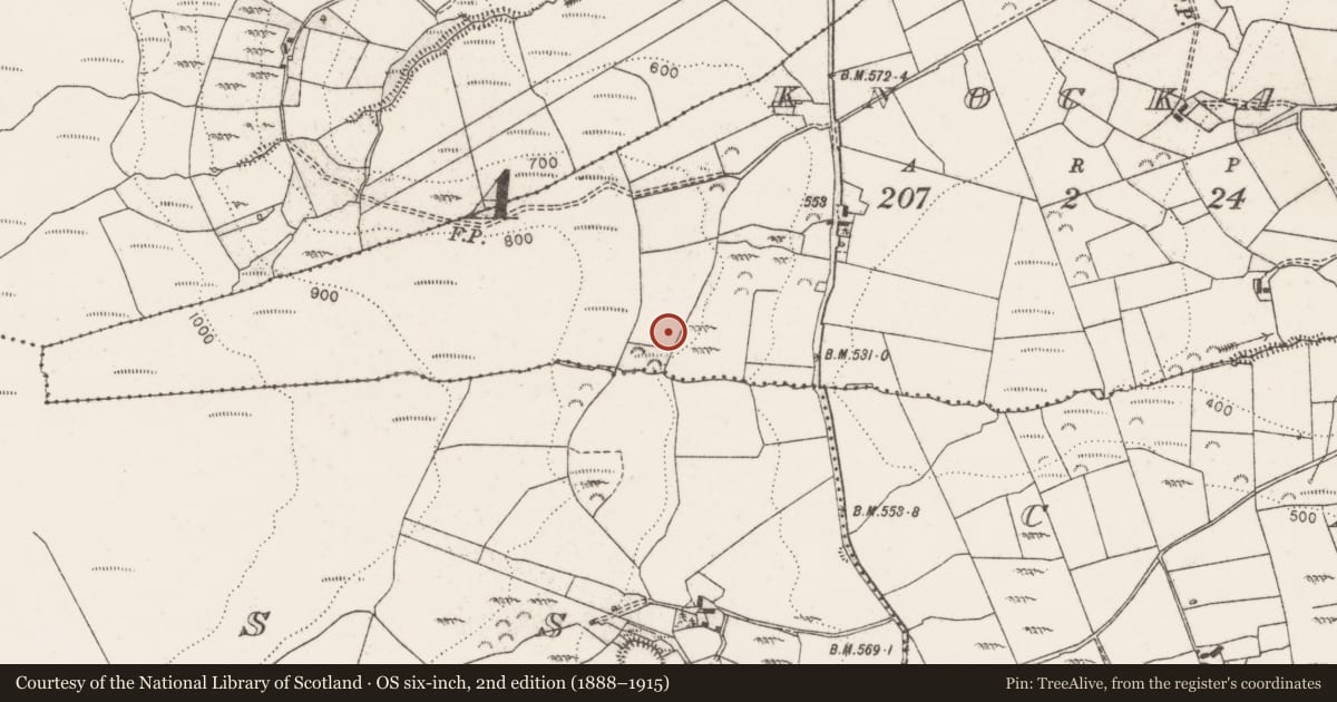 Ordnance Survey six-inch map, 2nd edition (1888–1915) covering the location of Barrow - ring-barrow, Knockanena, County Clare, with a pin at the register's coordinates