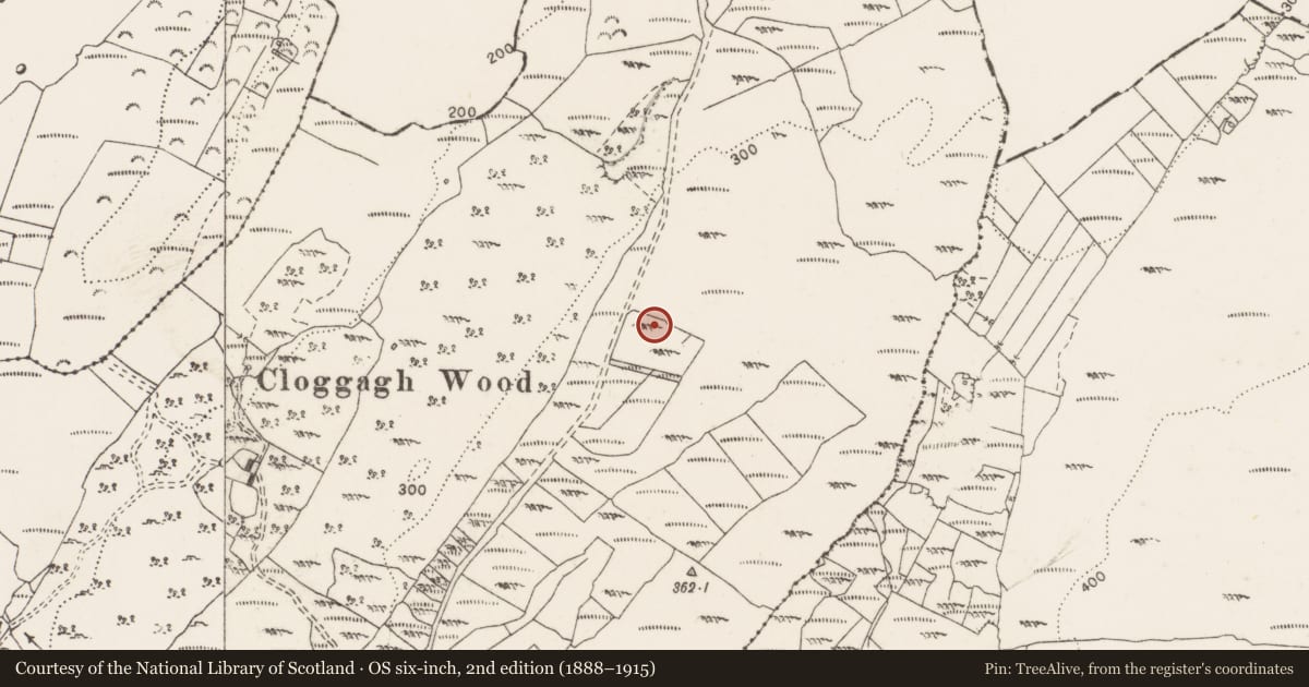 Ordnance Survey six-inch map, 2nd edition (1888–1915) covering the location of Megalithic structure, Calluragh, County Clare, with a pin at the register's coordinates