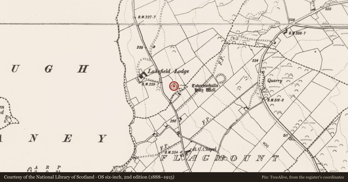 Ordnance Survey six-inch map, 2nd edition (1888–1915) covering the location of Ringfort - cashel, Caher, County Clare, with a pin at the register's coordinates