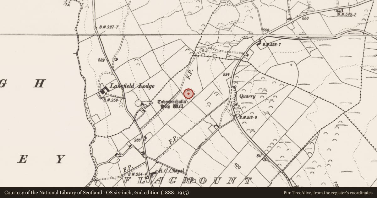 Ordnance Survey six-inch map, 2nd edition (1888–1915) covering the location of Ringfort - rath, Flagmount, County Clare, with a pin at the register's coordinates
