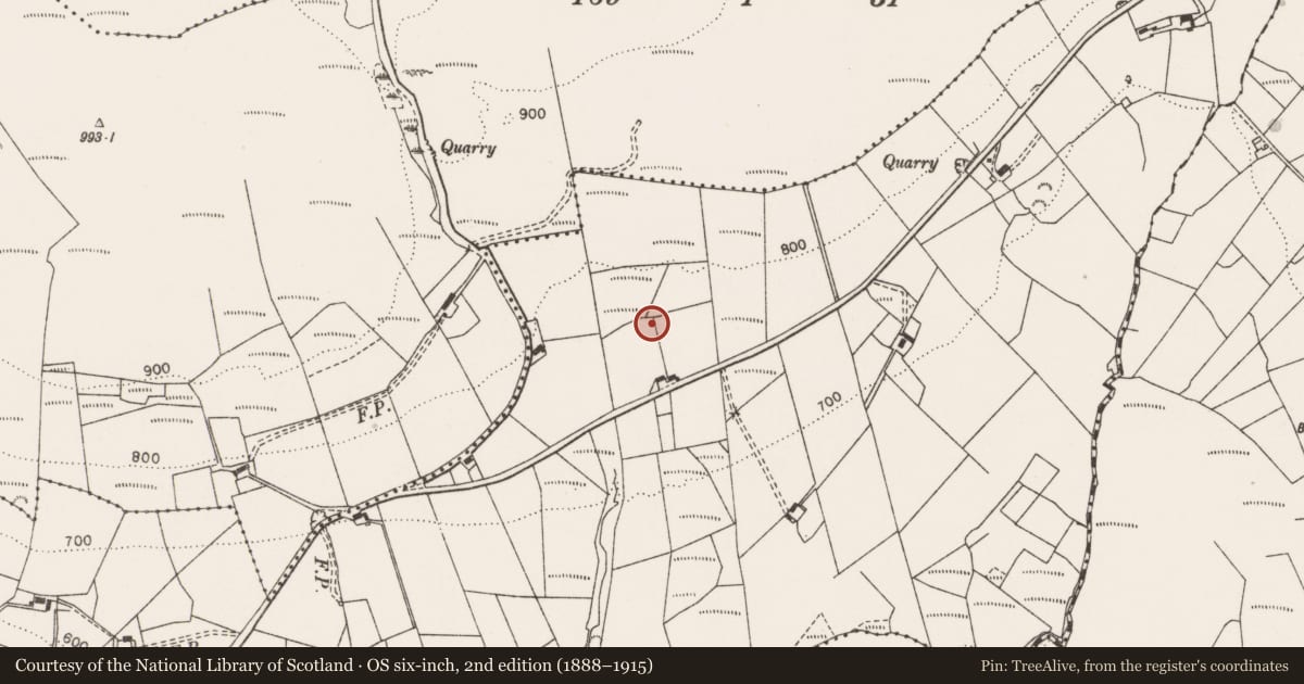 Ordnance Survey six-inch map, 2nd edition (1888–1915) covering the location of Megalithic tomb - wedge tomb, Knockbeha, County Clare, with a pin at the register's coordinates