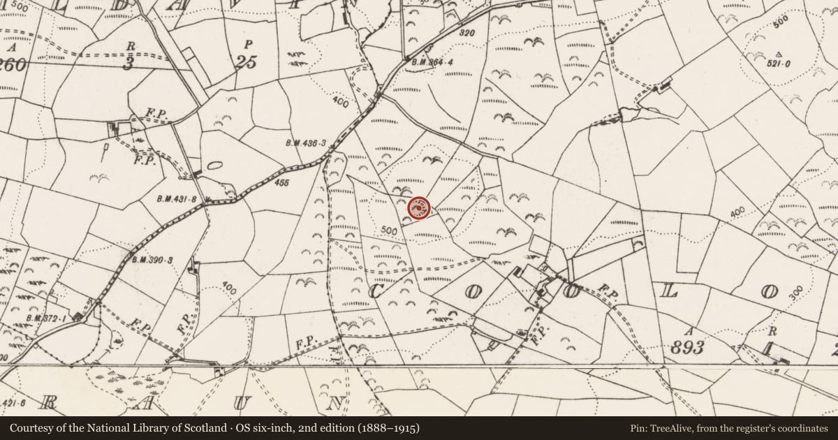 Ordnance Survey six-inch map, 2nd edition (1888–1915) covering the location of Enclosure, Coologory, County Clare, with a pin at the register's coordinates