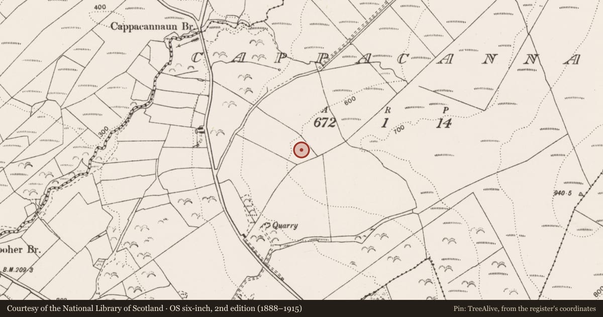 Ordnance Survey six-inch map, 2nd edition (1888–1915) covering the location of Enclosure, Cappacannaun, County Clare, with a pin at the register's coordinates