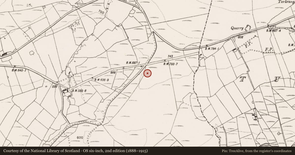 Ordnance Survey six-inch map, 2nd edition (1888–1915) covering the location of Cist, Corrakyle, County Clare, with a pin at the register's coordinates
