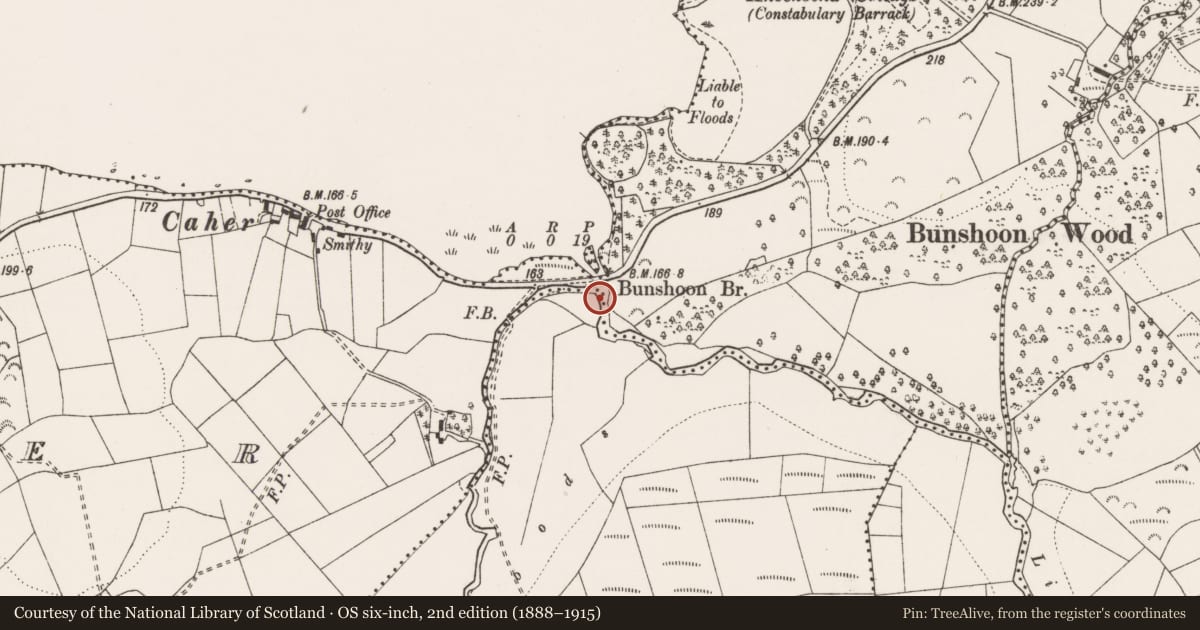 Ordnance Survey six-inch map, 2nd edition (1888–1915) covering the location of Structure - peatland, Derrynagittagh (Purcell), County Clare, with a pin at the register's coordinates