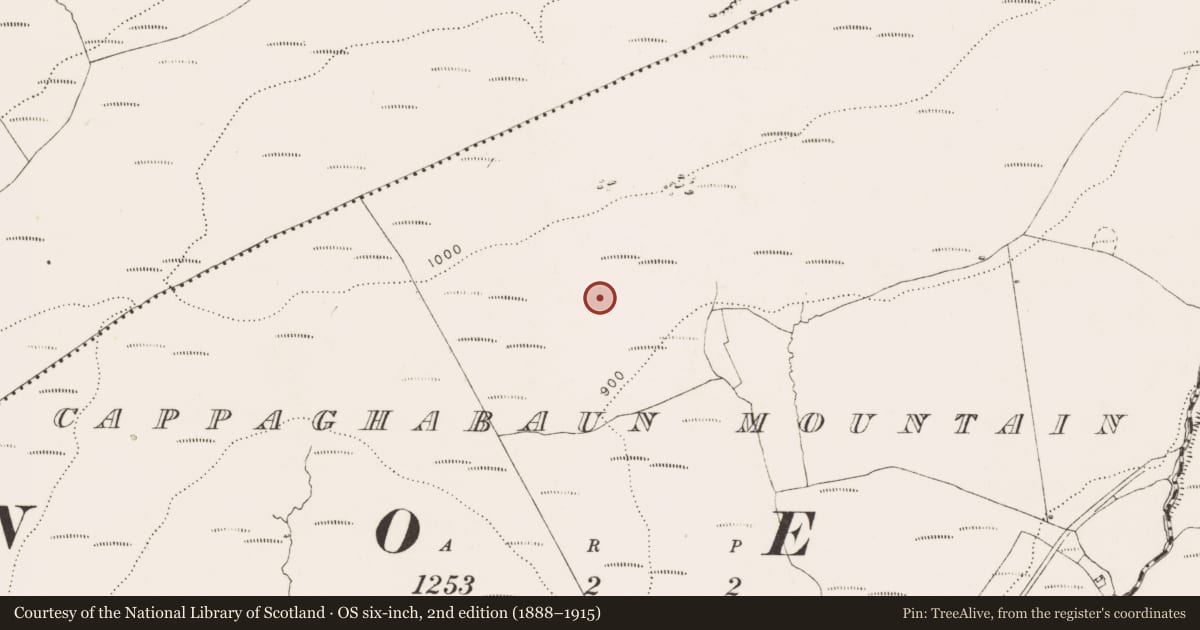Ordnance Survey six-inch map, 2nd edition (1888–1915) covering the location of Megalithic tomb - wedge tomb, Cappaghabaun Mountain, County Clare, with a pin at the register's coordinates