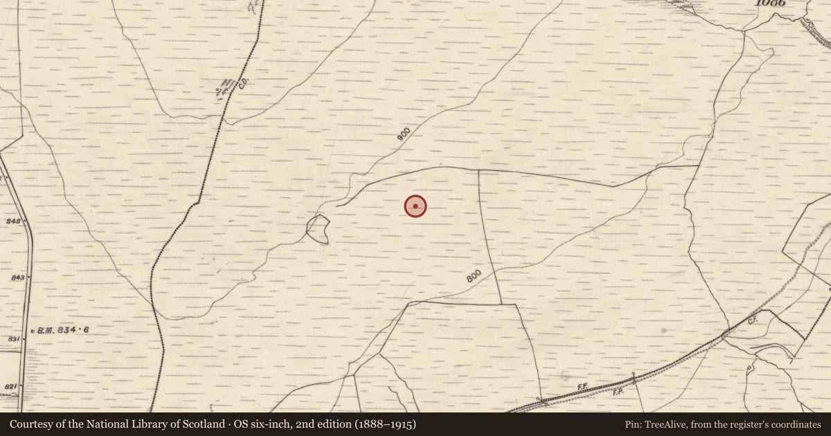 Ordnance Survey six-inch map, 2nd edition (1888–1915) covering the location of Cist, Bohateh North, County Clare, with a pin at the register's coordinates