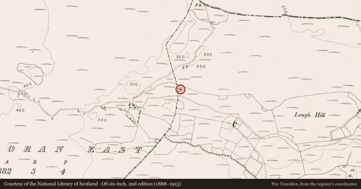 Ordnance Survey six-inch map, 2nd edition (1888–1915) covering the location of Megalithic tomb - unclassified, Derrainy, County Clare, with a pin at the register's coordinates