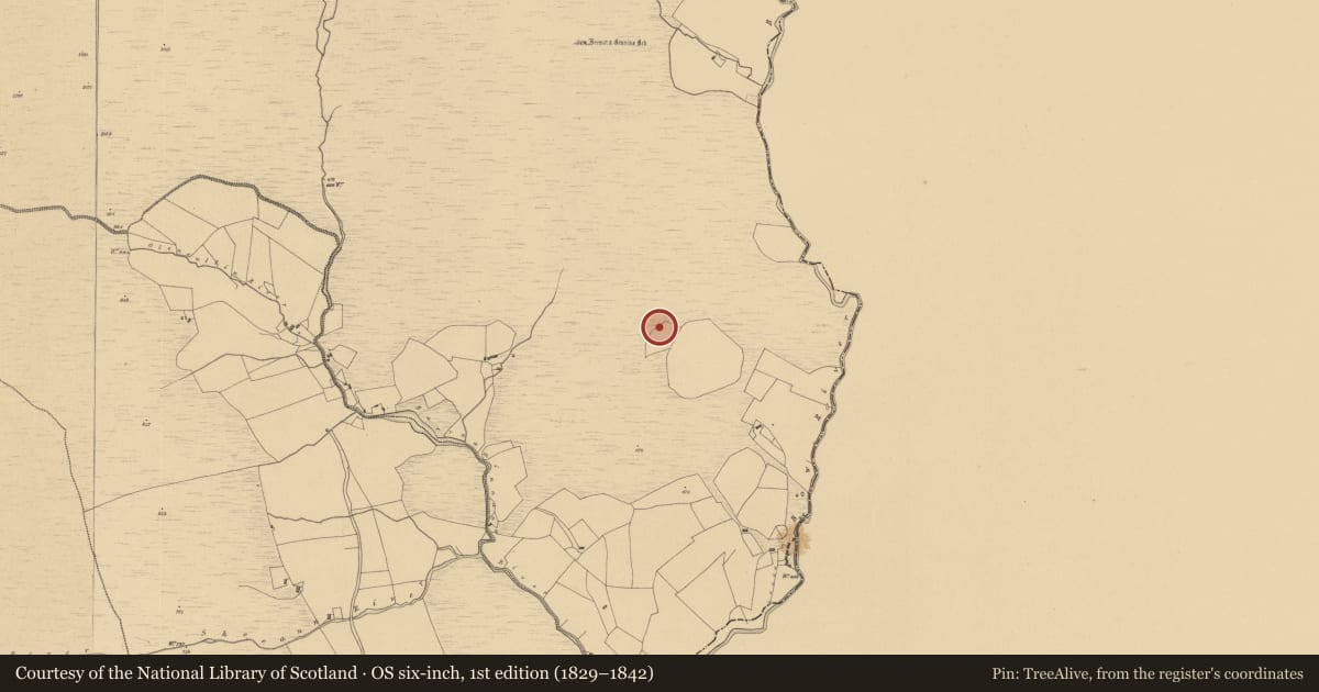 Ordnance Survey six-inch map, 1st edition (1829–1842) covering the location of Standing stone, Cappaghabaun Mountain, County Clare, with a pin at the register's coordinates