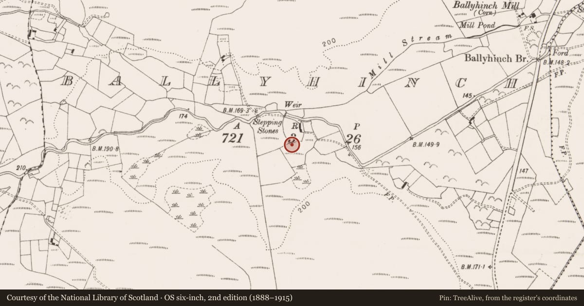 Ordnance Survey six-inch map, 2nd edition (1888–1915) covering the location of Kiln - lime, Ballyhinch, County Clare, with a pin at the register's coordinates