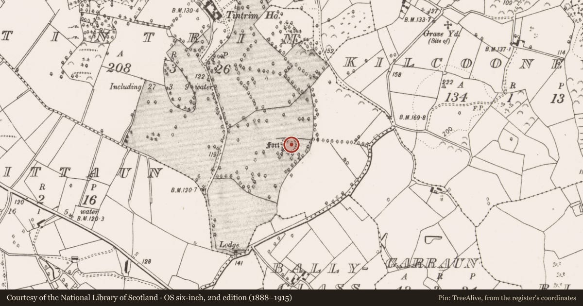 Ordnance Survey six-inch map, 2nd edition (1888–1915) covering the location of Earthwork, Tintrim, County Clare, with a pin at the register's coordinates