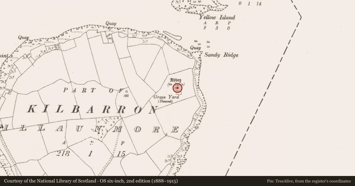 Ordnance Survey six-inch map, 2nd edition (1888–1915) covering the location of Cross-slab, Illaunmore, County Clare, with a pin at the register's coordinates