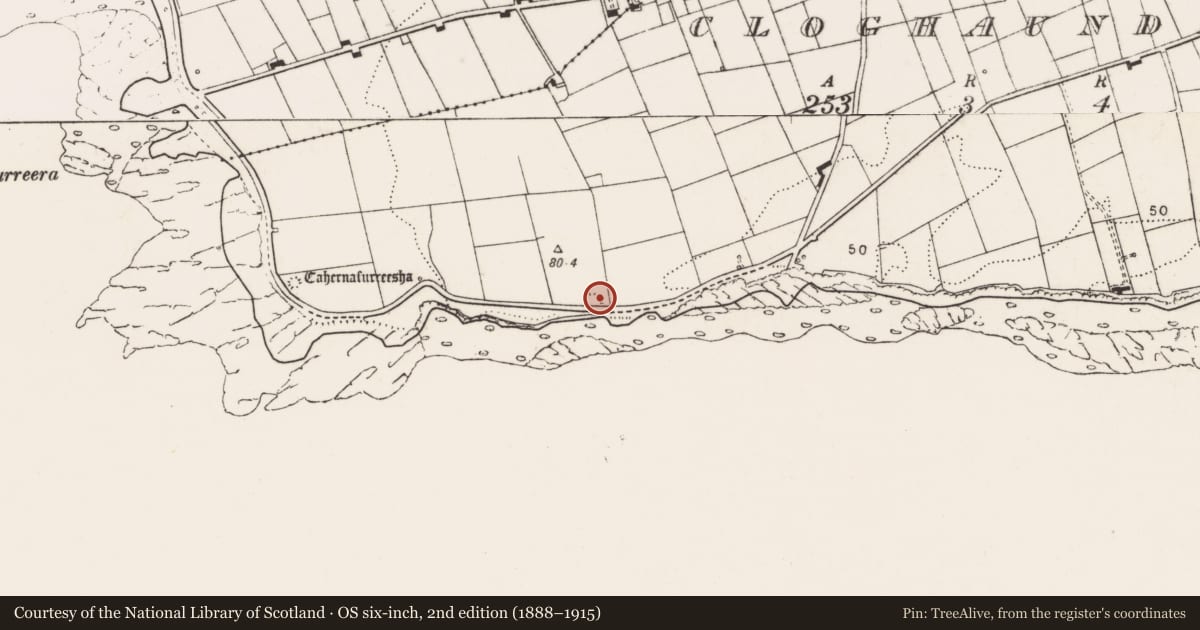 Ordnance Survey six-inch map, 2nd edition (1888–1915) covering the location of Ringfort - cashel, Cloghaundine, County Clare, with a pin at the register's coordinates