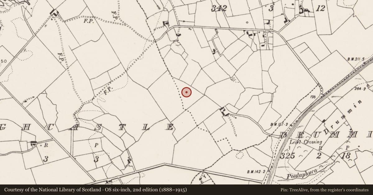 Ordnance Survey six-inch map, 2nd edition (1888–1915) covering the location of Barrow - embanked barrow, Freaghcastle, County Clare, with a pin at the register's coordinates
