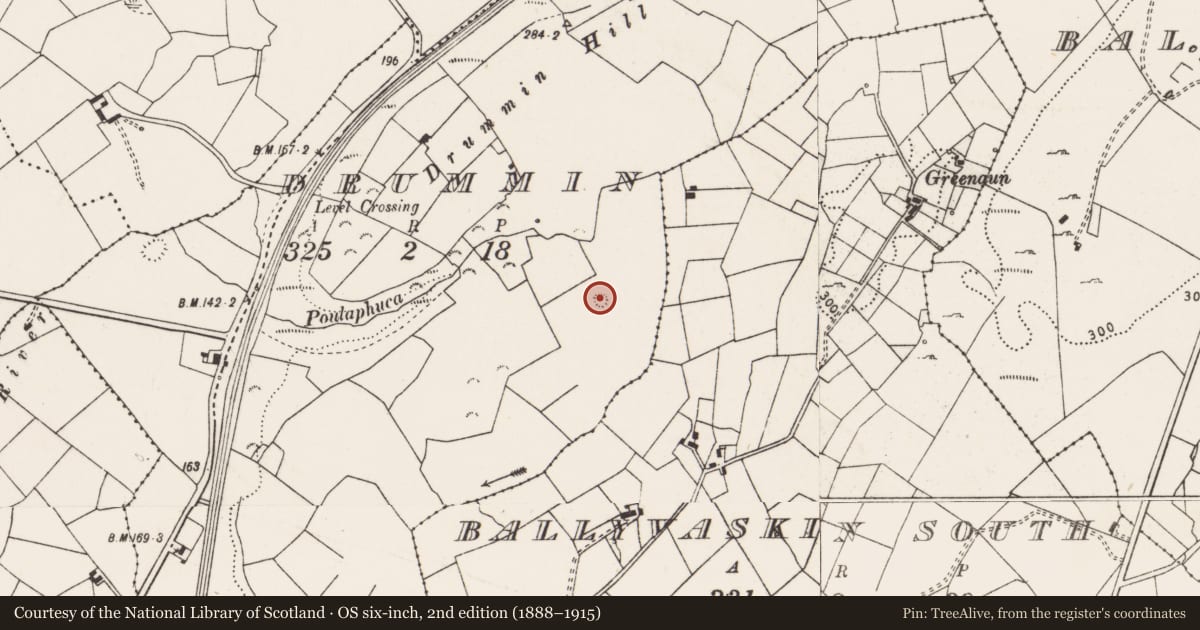 Ordnance Survey six-inch map, 2nd edition (1888–1915) covering the location of Barrow - ring-barrow, Drummin, County Clare, with a pin at the register's coordinates