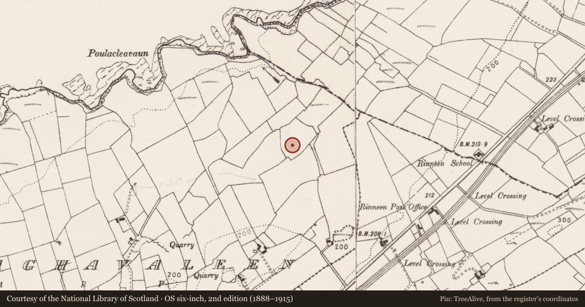 Ordnance Survey six-inch map, 2nd edition (1888–1915) covering the location of Quarry, Freaghavaleen, County Clare, with a pin at the register's coordinates