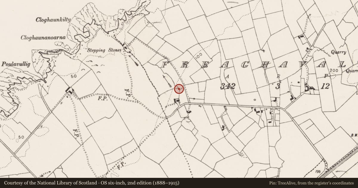 Ordnance Survey six-inch map, 2nd edition (1888–1915) covering the location of Enclosure, Freaghavaleen, County Clare, with a pin at the register's coordinates