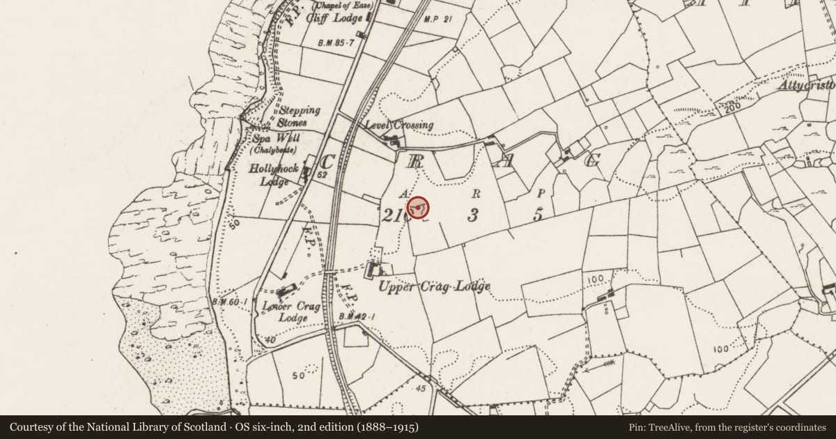 Ordnance Survey six-inch map, 2nd edition (1888–1915) covering the location of Enclosure, Crag, County Clare, with a pin at the register's coordinates
