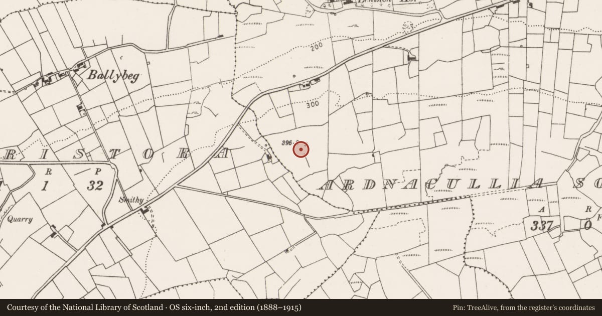 Ordnance Survey six-inch map, 2nd edition (1888–1915) covering the location of Ringfort - rath, Ardnacullia South, County Clare, with a pin at the register's coordinates