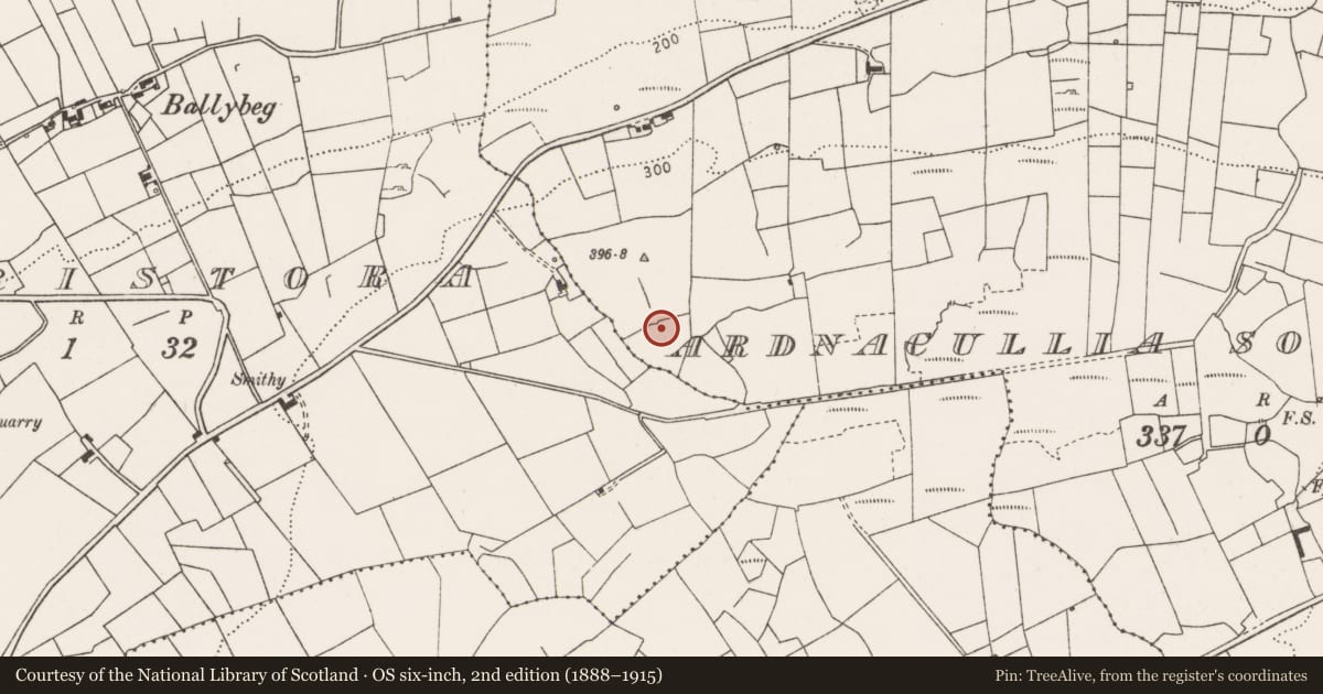 Ordnance Survey six-inch map, 2nd edition (1888–1915) covering the location of Quarry, Ardnacullia South, County Clare, with a pin at the register's coordinates