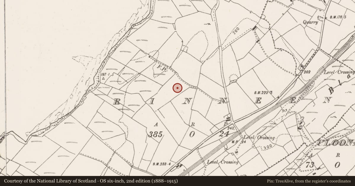 Ordnance Survey six-inch map, 2nd edition (1888–1915) covering the location of Ringfort - rath, Rinneen, County Clare, with a pin at the register's coordinates