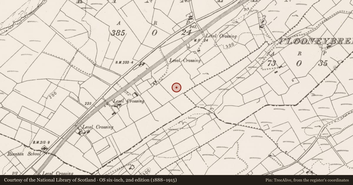 Ordnance Survey six-inch map, 2nd edition (1888–1915) covering the location of Ringfort - rath, Rinneen, County Clare, with a pin at the register's coordinates