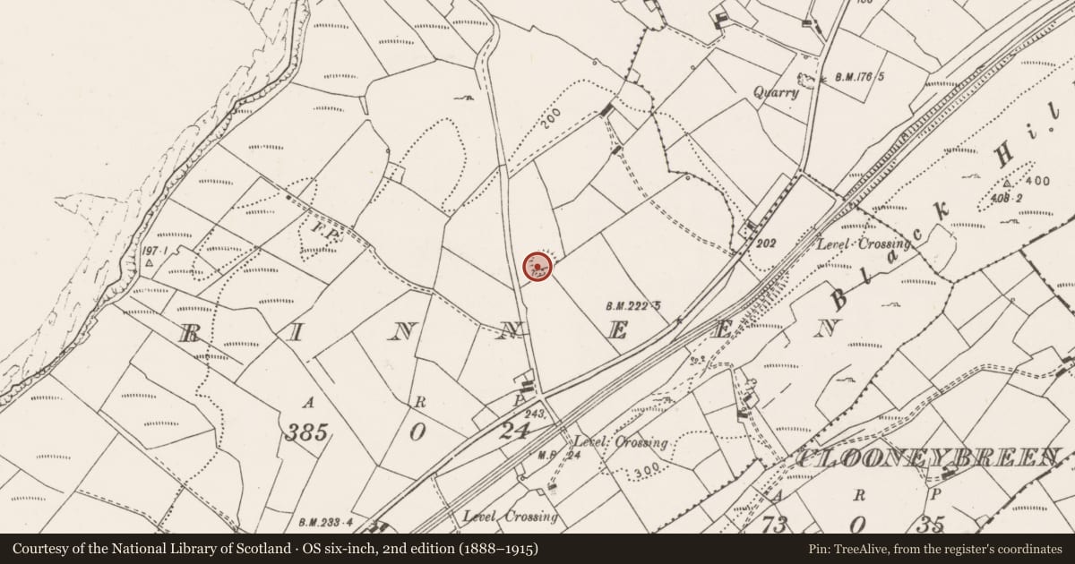 Ordnance Survey six-inch map, 2nd edition (1888–1915) covering the location of Ringfort - rath, Rinneen, County Clare, with a pin at the register's coordinates