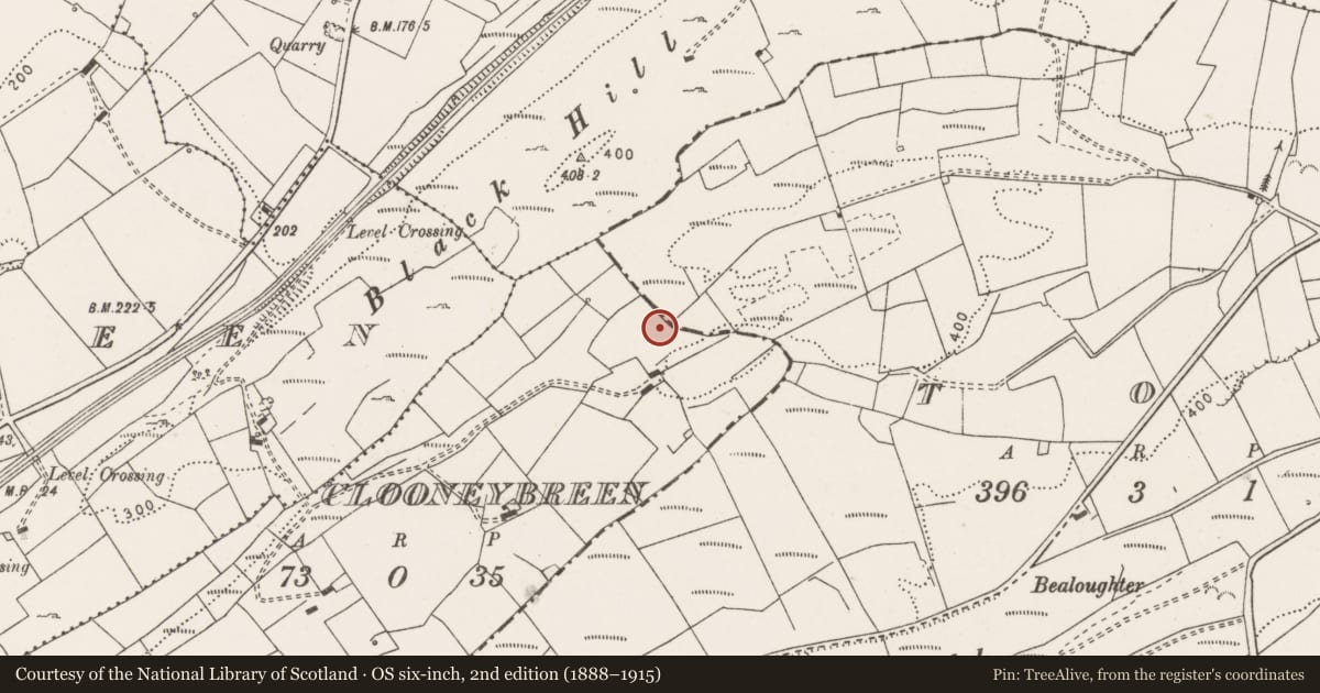 Ordnance Survey six-inch map, 2nd edition (1888–1915) covering the location of Enclosure, Clooneybreen, Toor, County Clare, with a pin at the register's coordinates