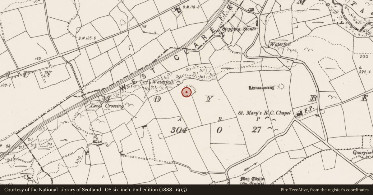 Ordnance Survey six-inch map, 2nd edition (1888–1915) covering the location of Ringfort - rath, Moy Beg, County Clare, with a pin at the register's coordinates