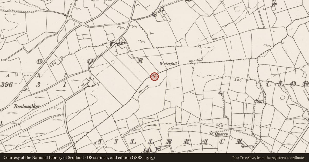 Ordnance Survey six-inch map, 2nd edition (1888–1915) covering the location of Ringfort - rath, Aillbrack, Toor, County Clare, with a pin at the register's coordinates
