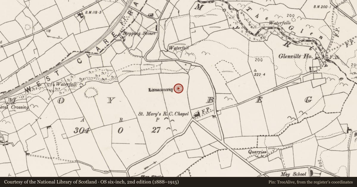 Ordnance Survey six-inch map, 2nd edition (1888–1915) covering the location of Ringfort - rath, Moy Beg, County Clare, with a pin at the register's coordinates
