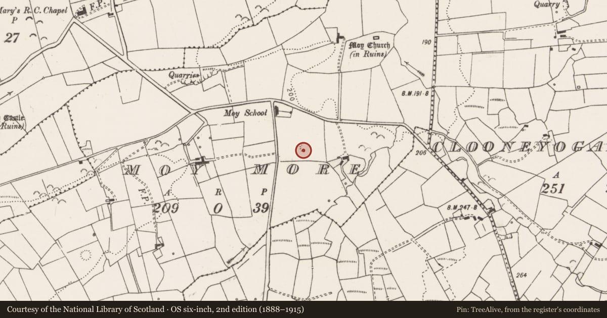 Ordnance Survey six-inch map, 2nd edition (1888–1915) covering the location of Ringfort - rath, Moy More, County Clare, with a pin at the register's coordinates