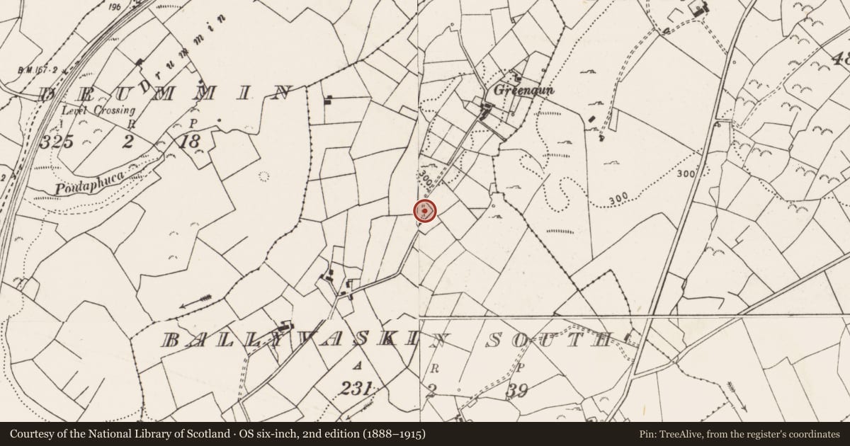 Ordnance Survey six-inch map, 2nd edition (1888–1915) covering the location of Enclosure, Ballyvaskin South, County Clare, with a pin at the register's coordinates