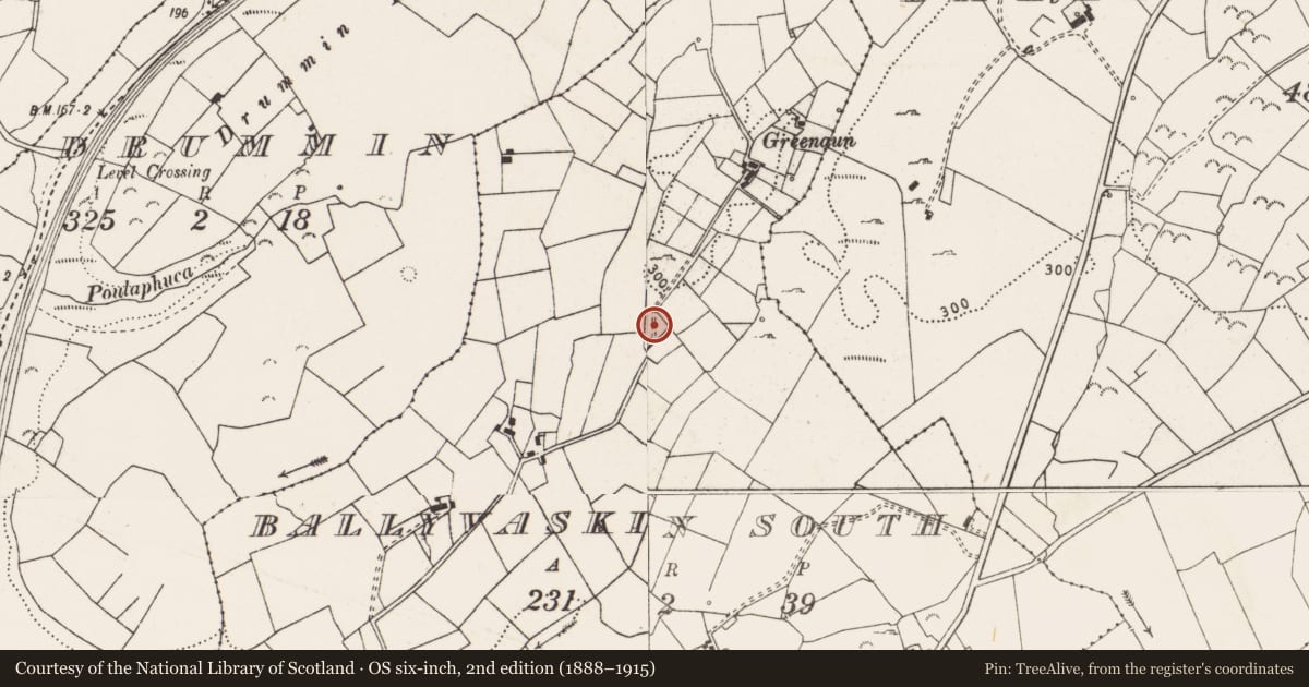 Ordnance Survey six-inch map, 2nd edition (1888–1915) covering the location of Mound, Ballyvaskin South, County Clare, with a pin at the register's coordinates
