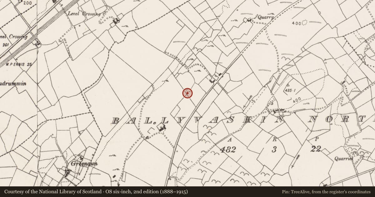 Ordnance Survey six-inch map, 2nd edition (1888–1915) covering the location of Ringfort - rath, Ballyvaskin North, County Clare, with a pin at the register's coordinates