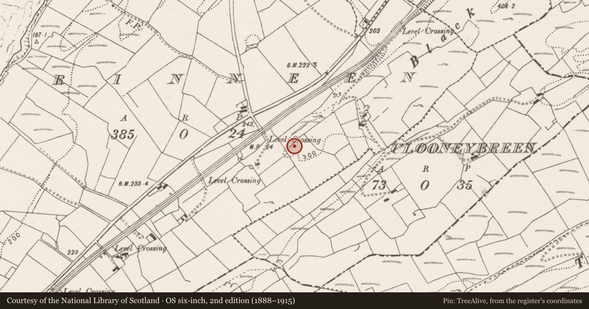 Ordnance Survey six-inch map, 2nd edition (1888–1915) covering the location of Enclosure, Rinneen, County Clare, with a pin at the register's coordinates