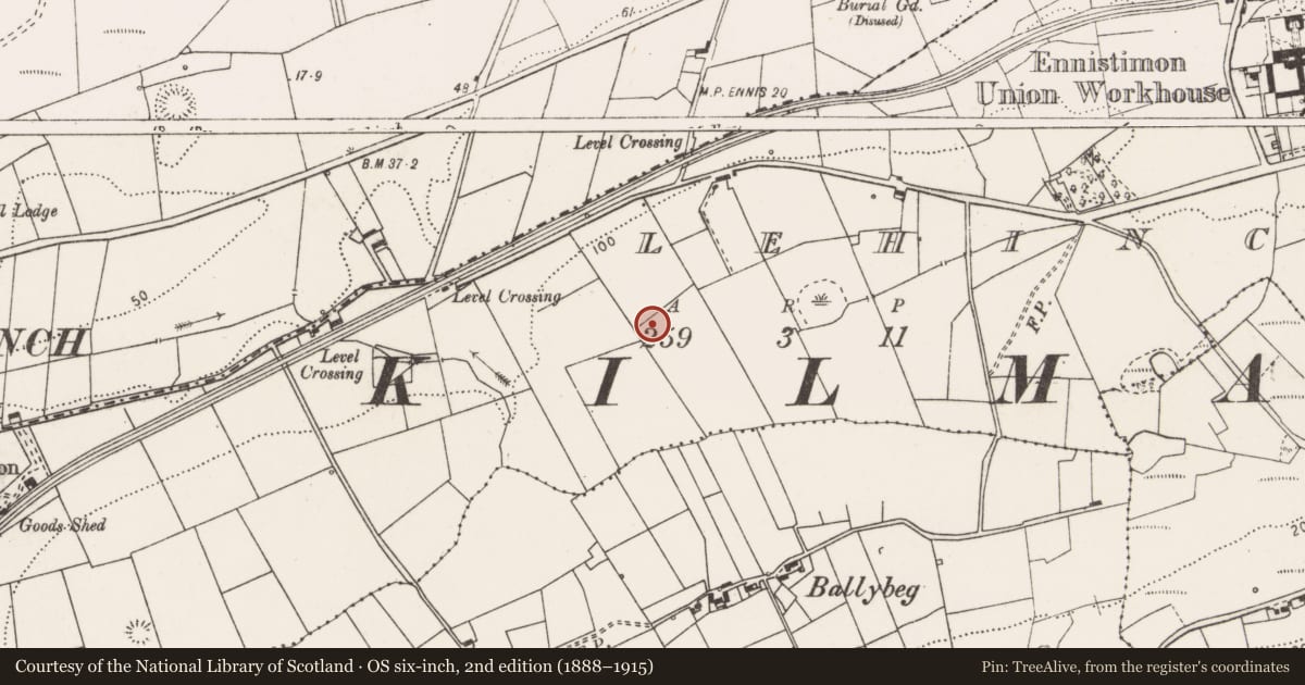 Ordnance Survey six-inch map, 2nd edition (1888–1915) covering the location of Ringfort - rath, Lehinch, County Clare, with a pin at the register's coordinates