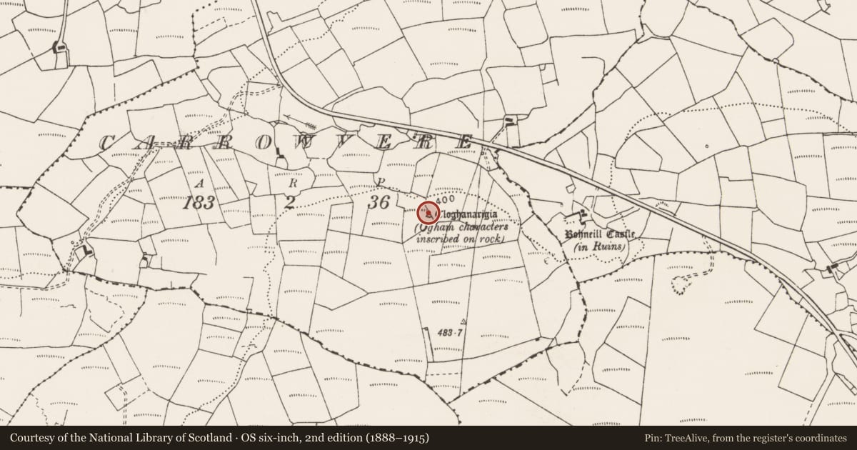 Ordnance Survey six-inch map, 2nd edition (1888–1915) covering the location of Rock scribing - folk art, Carrowvere, County Clare, with a pin at the register's coordinates