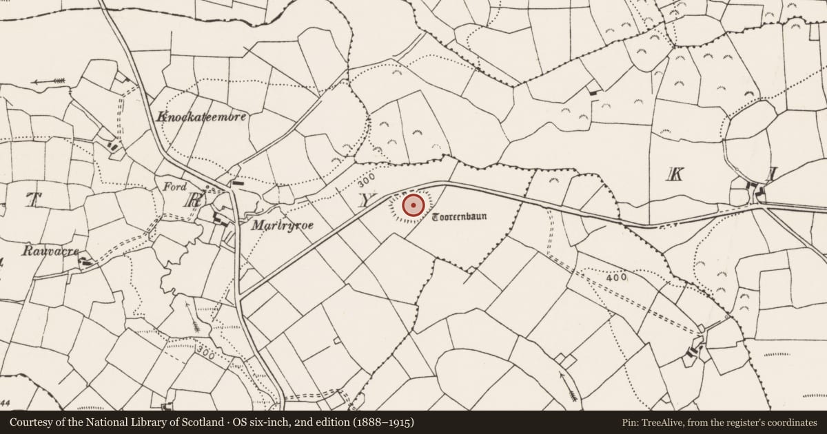 Ordnance Survey six-inch map, 2nd edition (1888–1915) covering the location of Enclosure, Martry, County Clare, with a pin at the register's coordinates