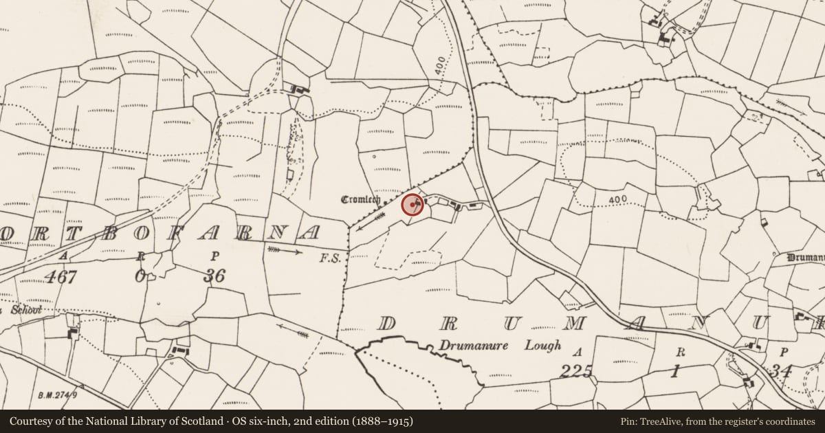Ordnance Survey six-inch map, 2nd edition (1888–1915) covering the location of Megalithic tomb - wedge tomb, Drumanure, County Clare, with a pin at the register's coordinates