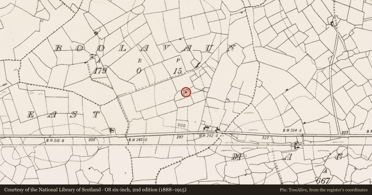 Ordnance Survey six-inch map, 2nd edition (1888–1915) covering the location of Enclosure, Boolavaun, County Clare, with a pin at the register's coordinates