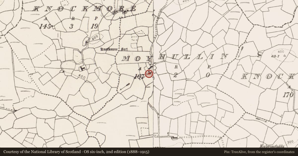 Ordnance Survey six-inch map, 2nd edition (1888–1915) covering the location of Castle - unclassified, Moyhullin, County Clare, with a pin at the register's coordinates