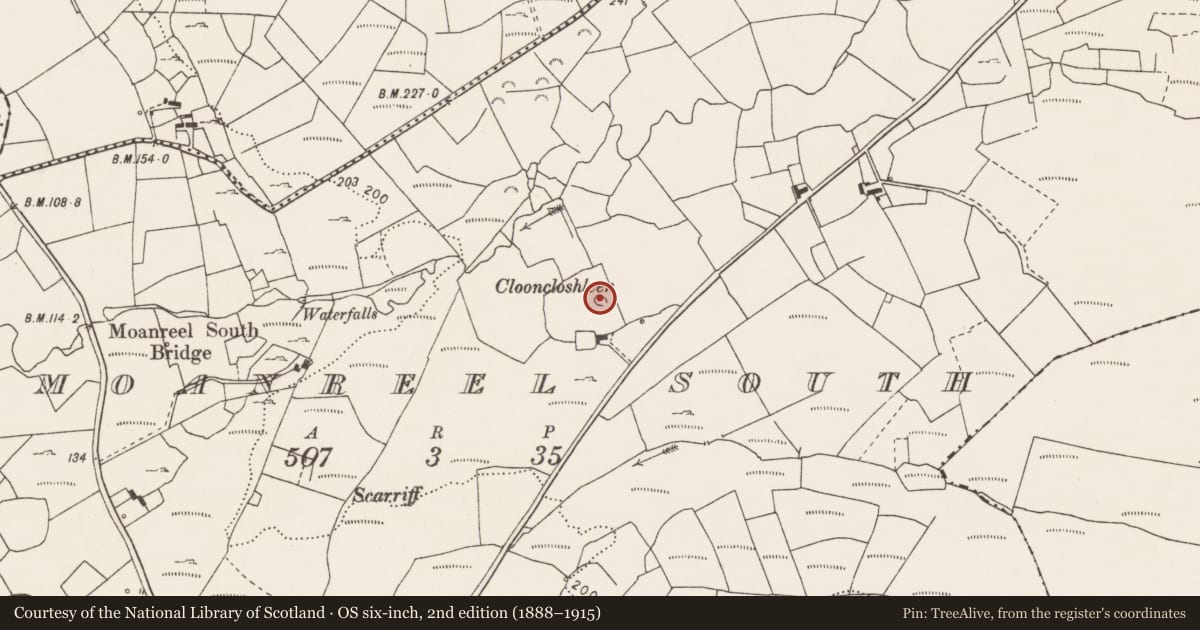 Ordnance Survey six-inch map, 2nd edition (1888–1915) covering the location of Ringfort - cashel, Moanreel South, County Clare, with a pin at the register's coordinates