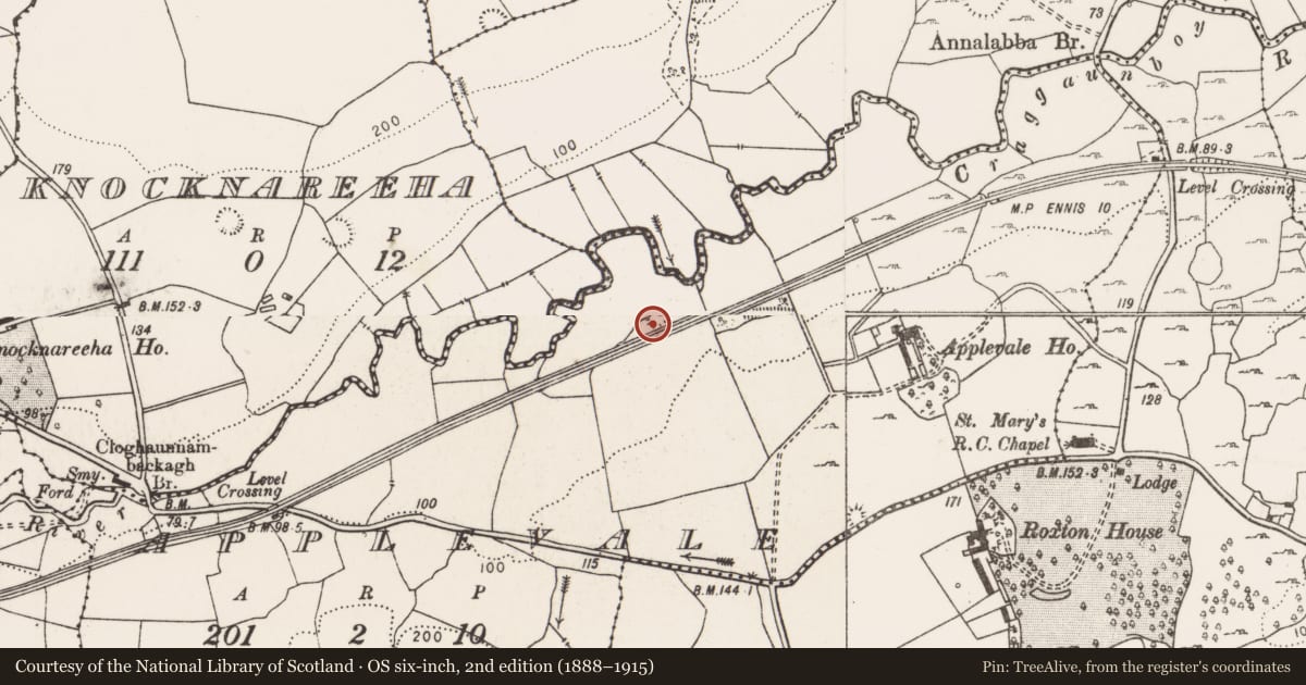 Ordnance Survey six-inch map, 2nd edition (1888–1915) covering the location of Ringfort - cashel, Applevale, County Clare, with a pin at the register's coordinates