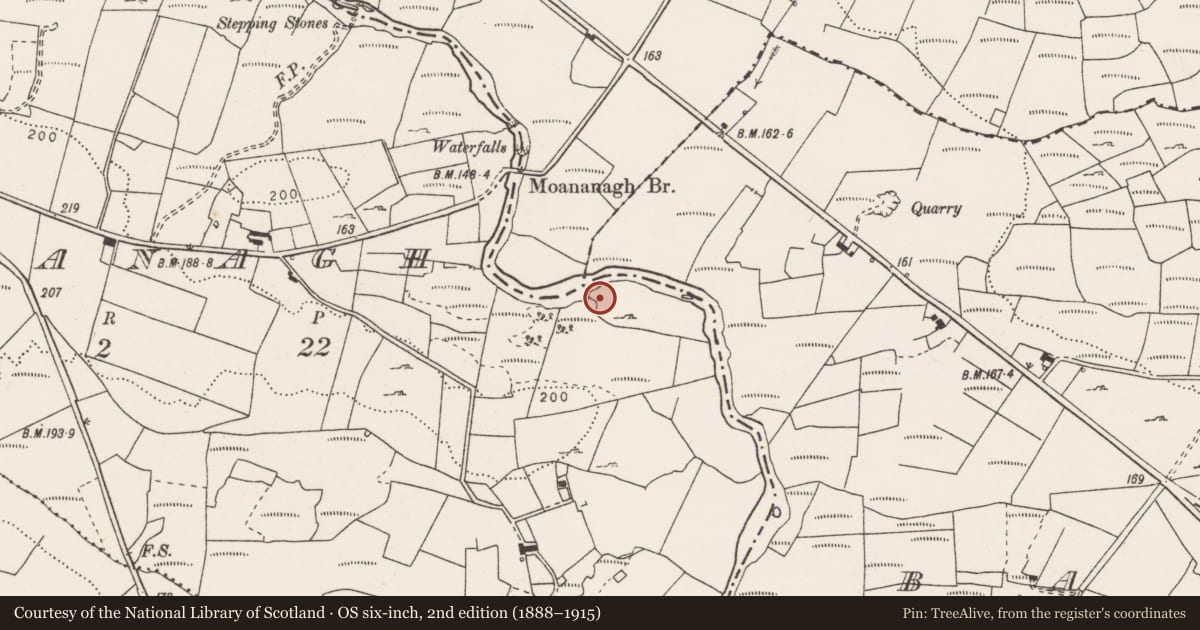 Ordnance Survey six-inch map, 2nd edition (1888–1915) covering the location of Fulacht fia, Moananagh, County Clare, with a pin at the register's coordinates