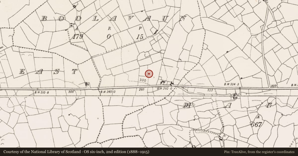 Ordnance Survey six-inch map, 2nd edition (1888–1915) covering the location of Ringfort - rath, Boolavaun, County Clare, with a pin at the register's coordinates