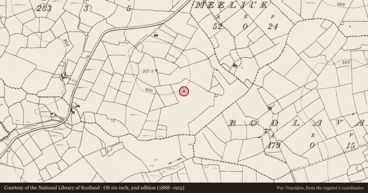 Ordnance Survey six-inch map, 2nd edition (1888–1915) covering the location of Children's burial ground, Sileshaun East, County Clare, with a pin at the register's coordinates